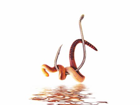 fishing hooksの写真素材