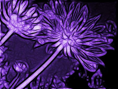 colorful abctract  backgroundの写真素材