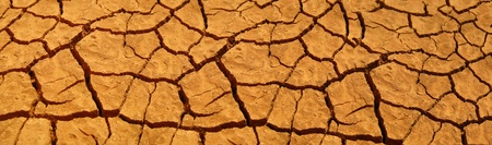 cracks in the earth