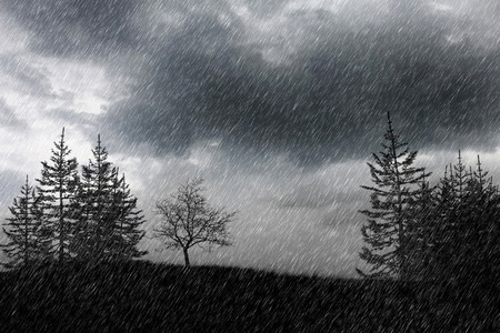 rain