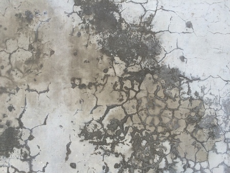 Stone surface