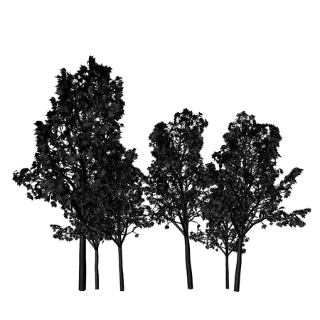 treeの写真素材