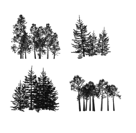 pineの写真素材