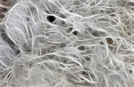 cobwebの写真素材