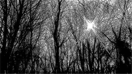 treeの写真素材