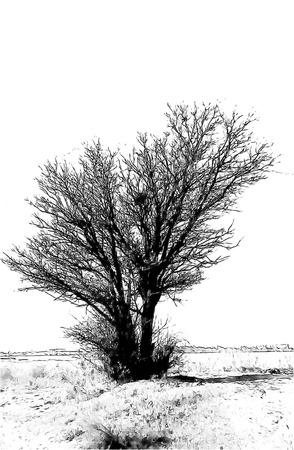 tree