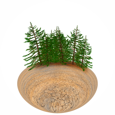 pineの写真素材