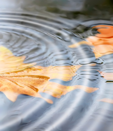 autumnの写真素材