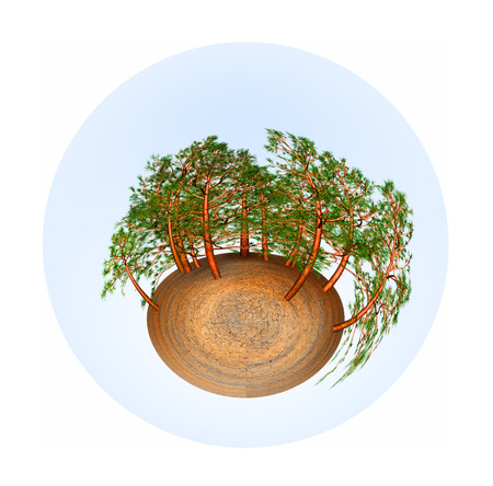 treesの写真素材