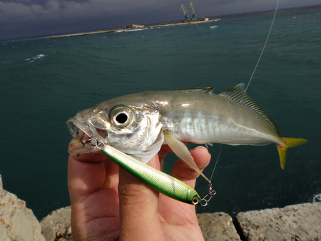 fishingの写真素材