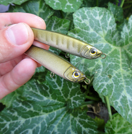 fishing luresの写真素材