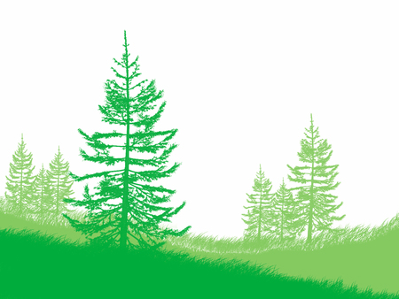 forestの写真素材