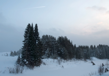 winter forest by the river in northern Russiaの写真素材