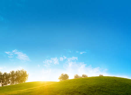 summer landscape の写真素材