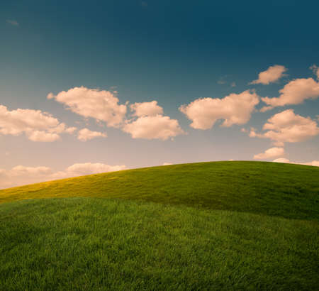 summer landscape with blue skyの写真素材