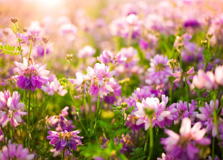 flower background with a lot of pink flowers