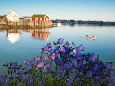 classic Norway view with rorbus and canoesの写真素材