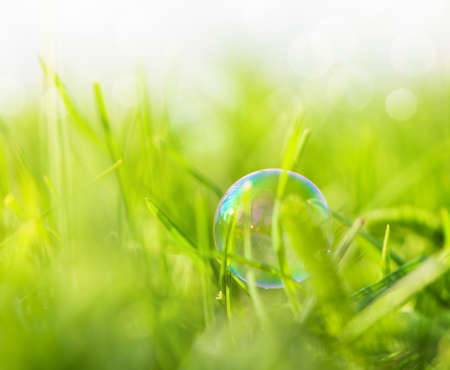 abstract nature background