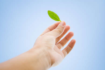 ecology conceptの写真素材