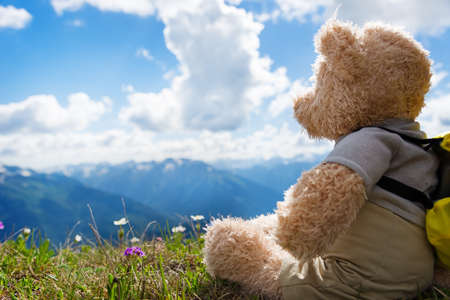 teddy bear hikingの写真素材