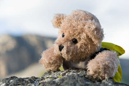 teddy bear claimbing in mountainsの写真素材