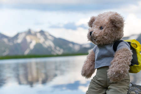 teddy bear hiking in mountainsの写真素材