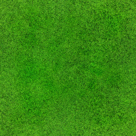 idyllic  seamless grass texture