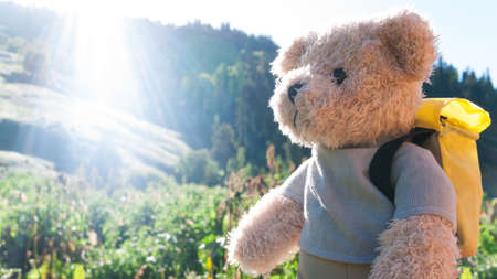 teddy bear hiking in mountainsの写真素材