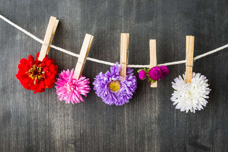 summer flowers backgroundの写真素材