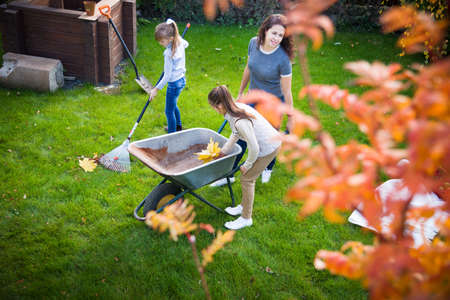 family gardening at autumnの写真素材