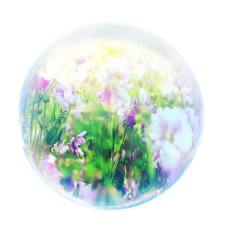 flowers in bubbleの写真素材
