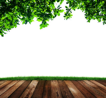 summer background with wooden floorの写真素材
