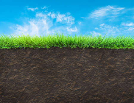 grass and soil の写真素材