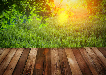 summer with wooden floorの写真素材