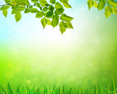 summer garden backgroundの写真素材