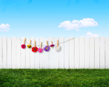 summer gardenの写真素材