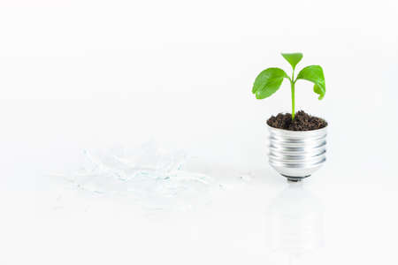 green energy conceptの写真素材