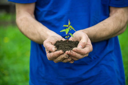 farmer holding green plant in handsの写真素材