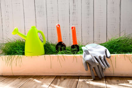 gardening toolsの写真素材