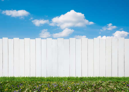 planks in backyard in summerの写真素材