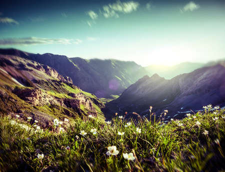 landscape of mountains retro の写真素材