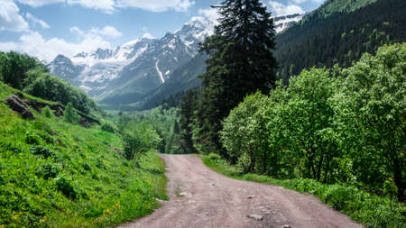 landscape of mountains in summerの写真素材