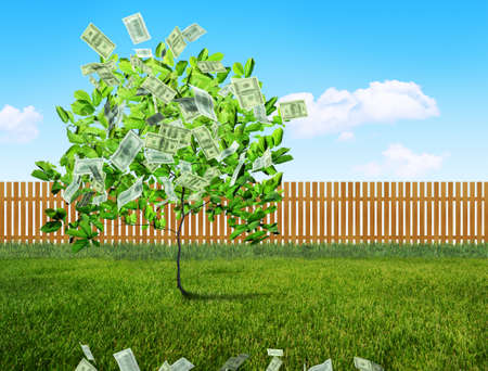 money growing conceptの写真素材