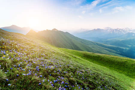landscape of mountain range  in summerの写真素材
