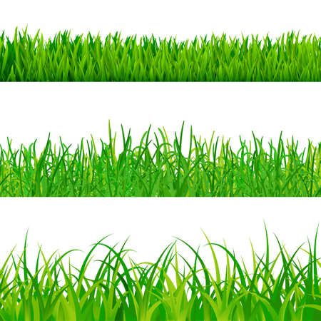 set of grass vectorのイラスト素材