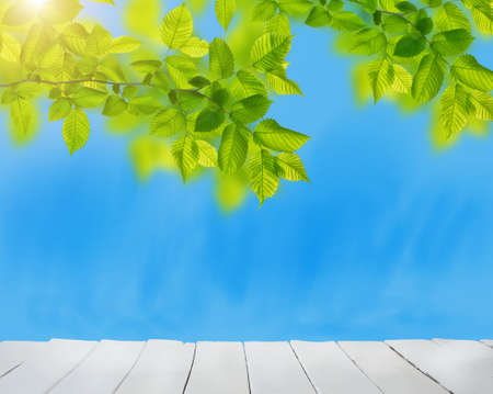 summer garden background with leavesの写真素材