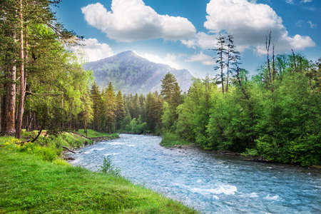 landscape of mountain range  in summerの写真素材