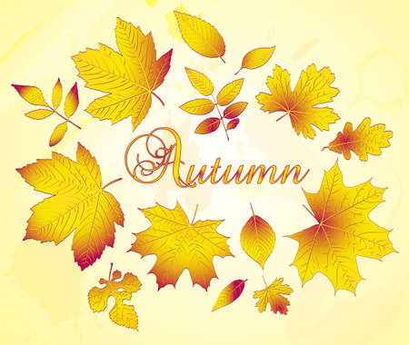 autumn leaves banner vectorのイラスト素材