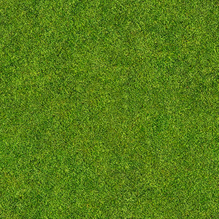 seamless grass textureの写真素材｜ストックフォト、写真素材のstock 