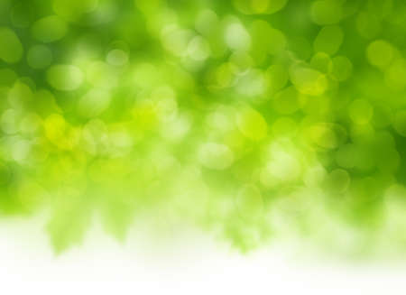 bokeh nature の写真素材